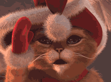 kocour.gif